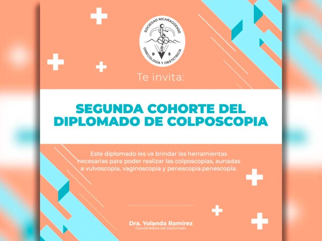 Diplo Invi 1024x768